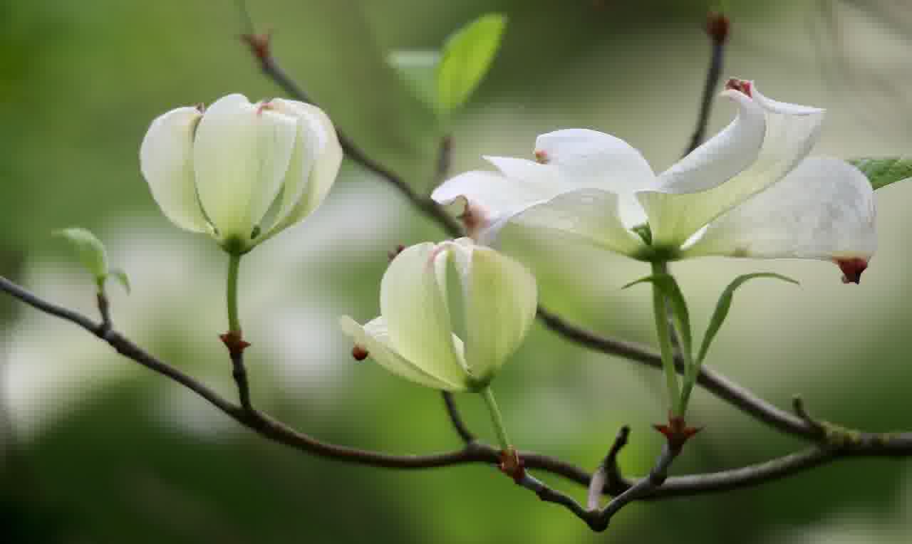 한글 글자 수 쉽게 확인하는 방법 알아보기