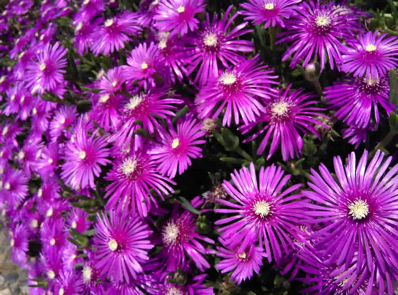 엑셀에서 줄 바꾸는 꿀팁 알아보기