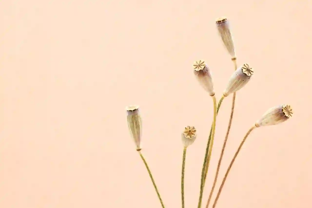 카카오톡 비밀번호 쉽게 변경하는 노하우 알아보기