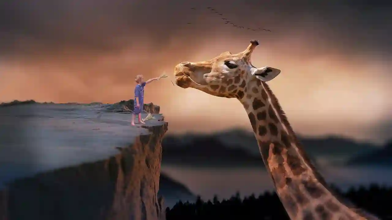 총쏘는 꿈 해몽