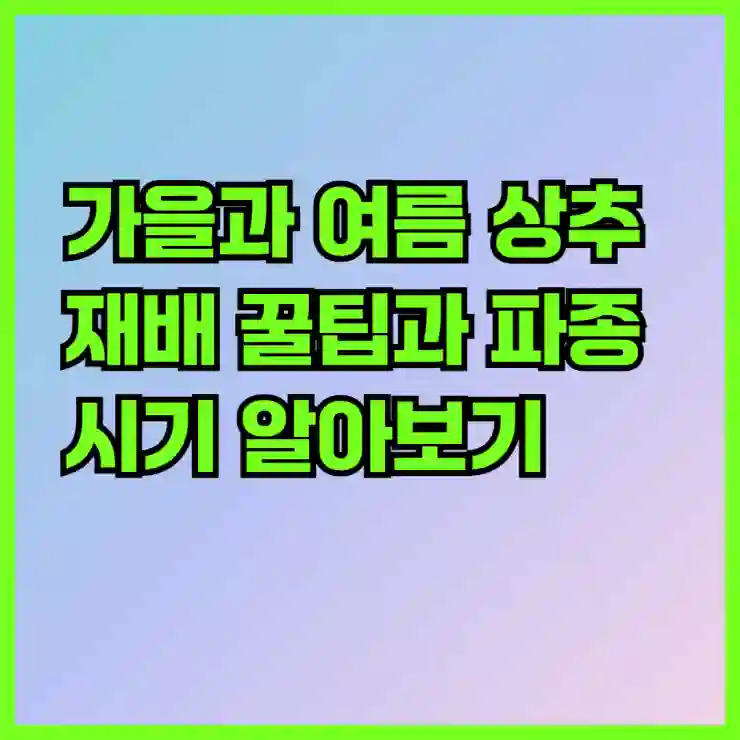 가을과 여름 상추 재배 꿀팁과 파종 시기 알아보기