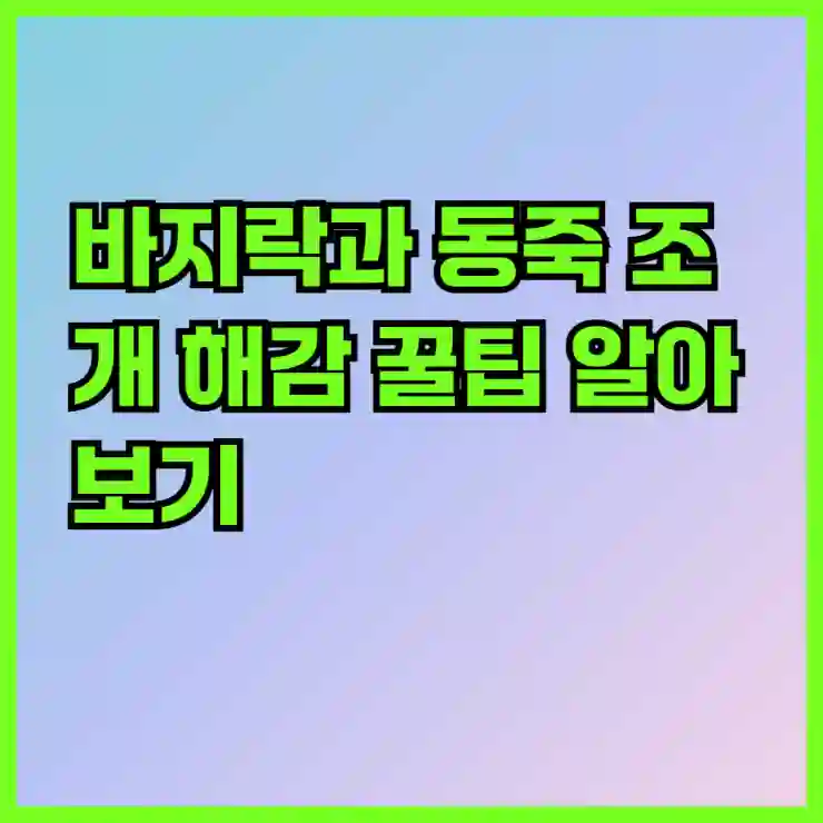 바지락과 동죽 조개 해감 꿀팁 알아보기