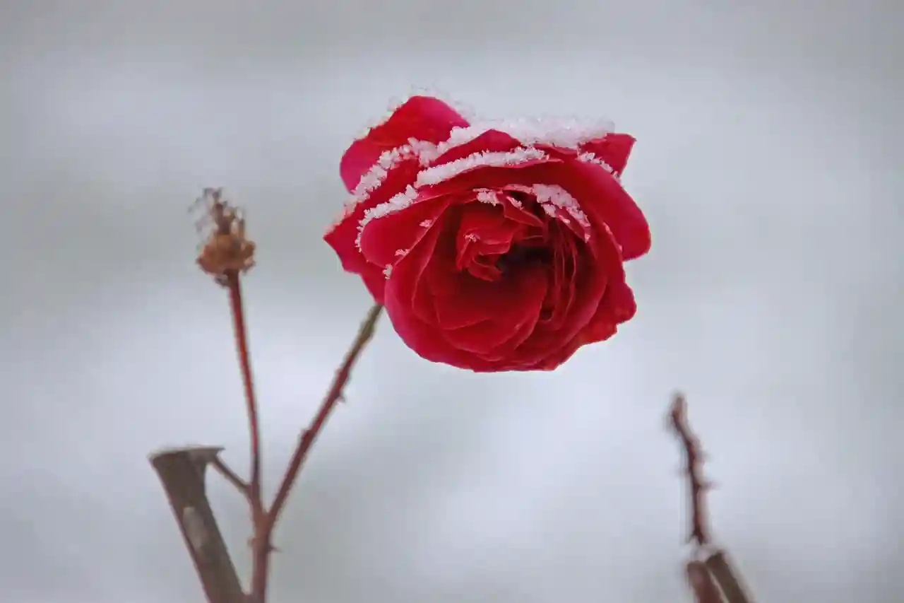 슬라이드를 세로로 바꾸는 스마트한 팁!