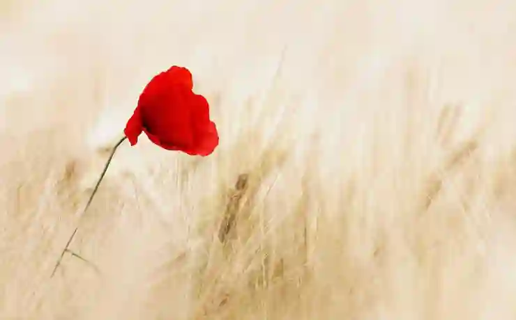 달러인덱스 하락하니 양호한 흐름을 보이는 신흥국증시(ft.인도네시아주식)