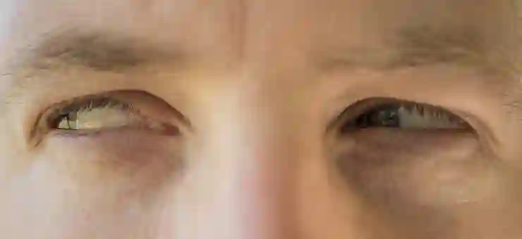 인격, 인품, 권위의 뜻과 중요성