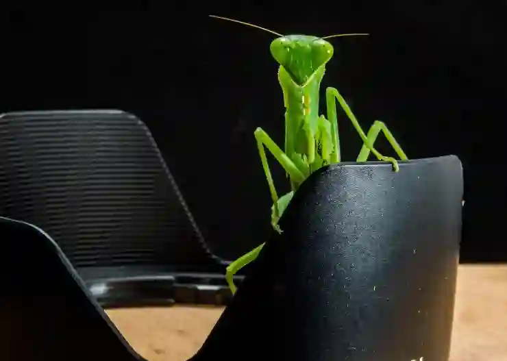 인천SSG랜더스필드 홈런볼 잡기 체험기
