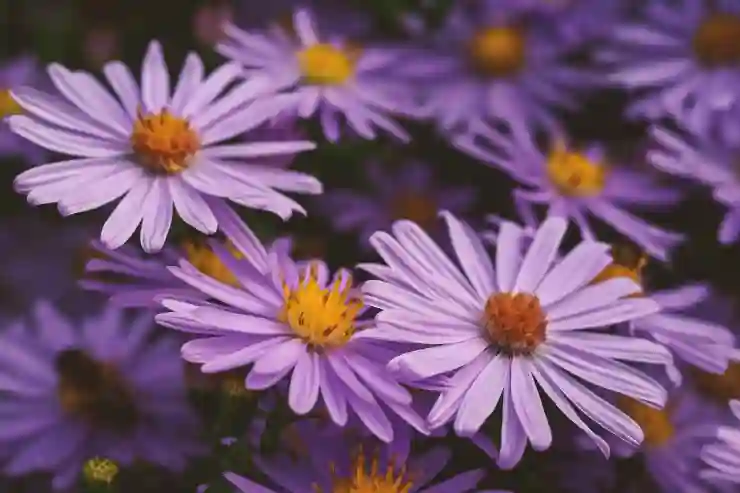 투자로 부자의 꿈을 이루는 법칙 살펴보기