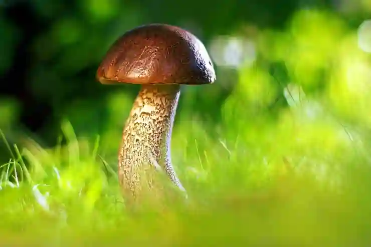 상법 개정 이후 지주회사 주가 상승의 이면을 살펴보다