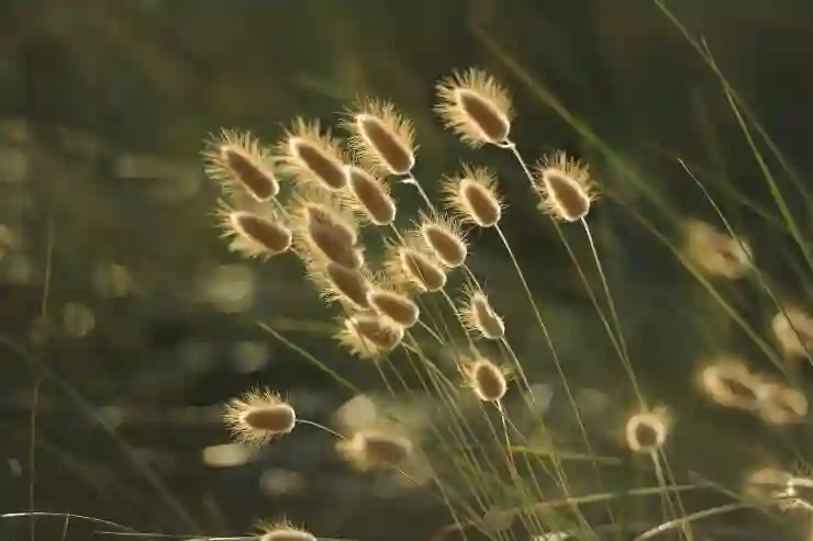 동물 꿈에서 찾는 성공과 행운의 숨은 메시지 알아보기