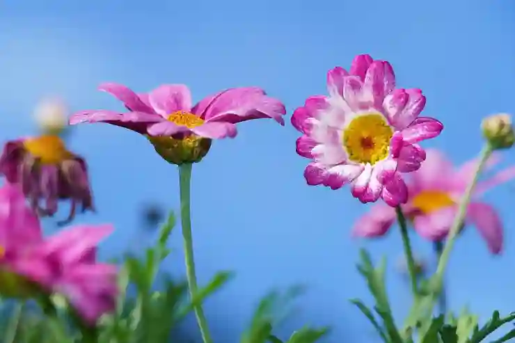 설날에 즐기는 전통 문화 체험 여행지 추천