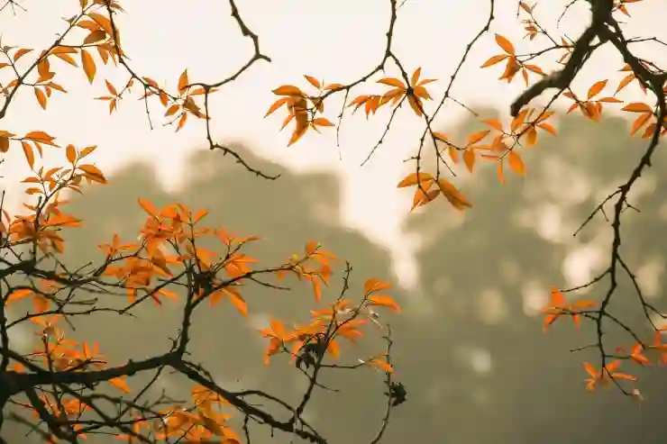 베트남 경제, 소비 감소의 그림자 속으로 들어가다