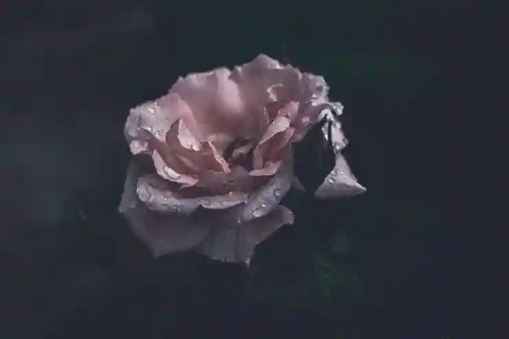 인천SSG랜더스필드에서 빠르고 안전하게 귀가하는 방법