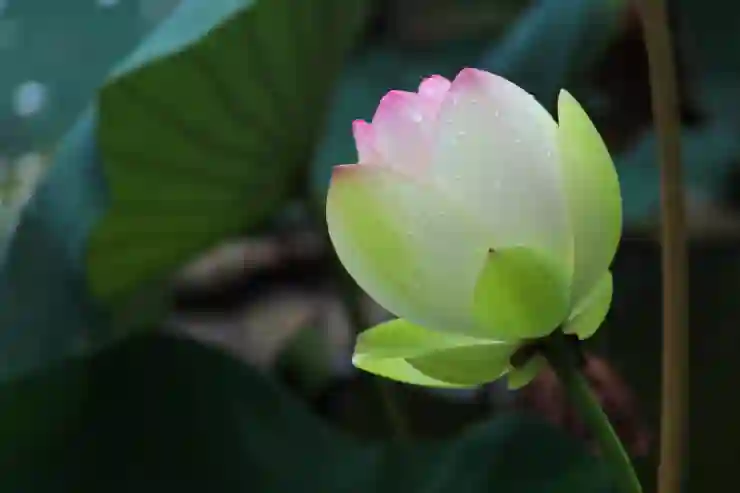 인천SSG랜더스필드 경기 후 퇴장법 완벽 정리하기