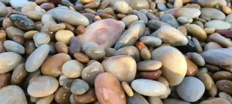 인천SSG랜더스필드 응원가 완벽히 따라 부르기 위한 비법 공개!