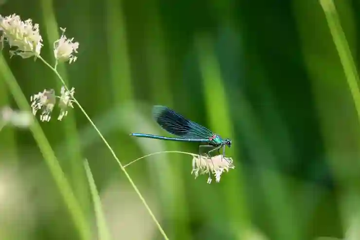 인천SSG랜더스필드 직관 필수 꿀팁 총정리