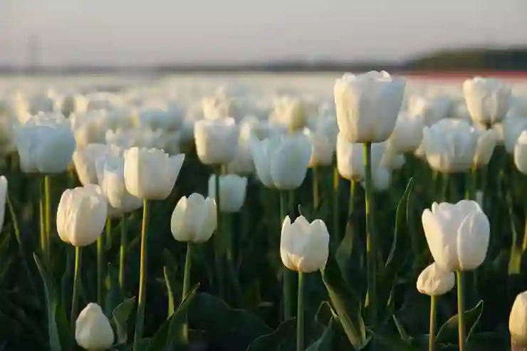 갤럭시 보안 폴더 백업