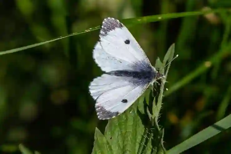 인천SSG랜더스필드 홈런볼 인증 팁