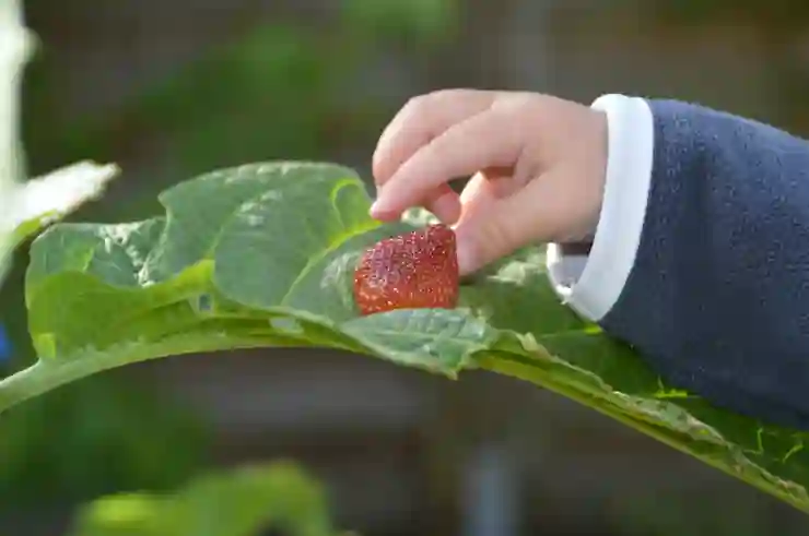 인천SSG랜더스필드 홈런볼 잡기 비법