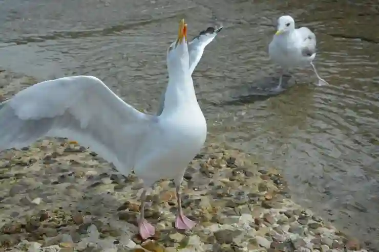인천SSG랜더스필드에서 홈런볼 잡는 꿀팁 대공개!