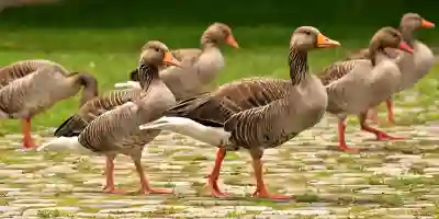 갤럭시 문자 그룹 메시지 활용 꿀팁