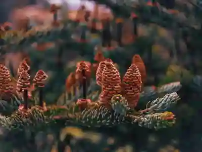 갤럭시 배경화면 변경하는 꿀팁 알아보자