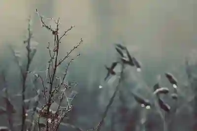 갤럭시 웹브라우저 데이터 절약 꿀팁