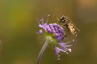 유튜브 다크모드 설정과 해제 방법 알아보자