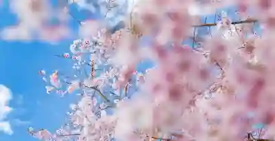 인스타 스토리 배경색 쉽게 바꾸는 꿀팁