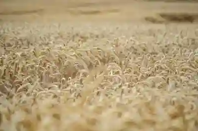 인천SSG랜더스필드 응원단석의 장단점 알아보기