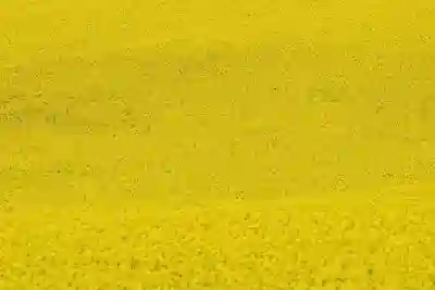 인천SSG랜더스필드 티켓팅 실패 후 대처법 알아보자