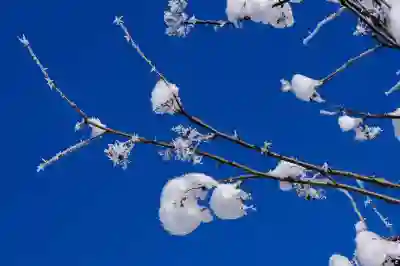 회기역 식당 팔각도 경희대점에서 맛있는 음식 즐기는 방법