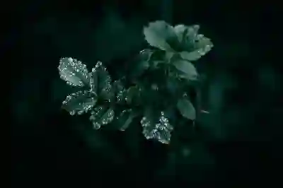 인천SSG랜더스필드 퇴근 후 직관 후기