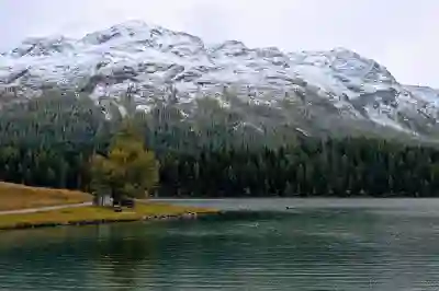 인천SSG랜더스필드 좌석별 응원단 위치