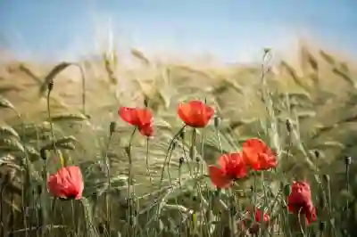 인천SSG랜더스필드 응원단 춤 배우기