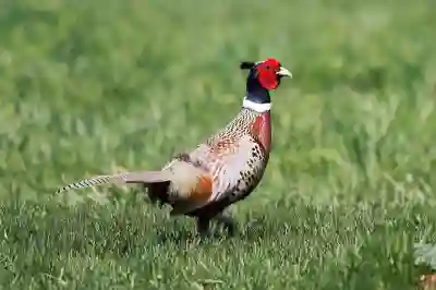 인천SSG랜더스필드 경기 중계 관람존