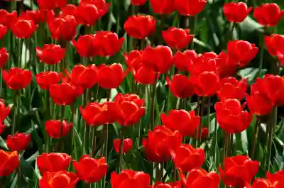 인천SSG랜더스필드 시즌 개막전 후기