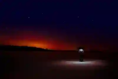 인천SSG랜더스필드 시즌권 혜택 총정리