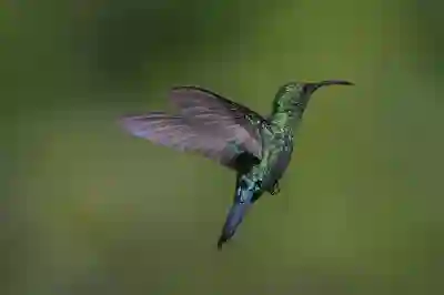 갤럭시 고속 충전 켜기