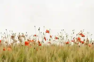 인천SSG랜더스필드 실시간 좌석예매 방법