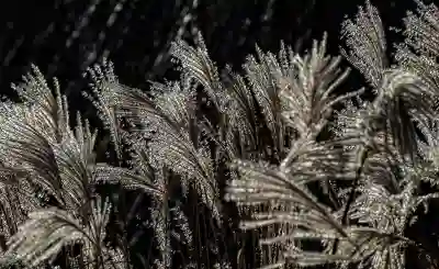 인천SSG랜더스필드 직관러 추천템 7가지