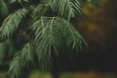 갤럭시 사진 배경 흐리기