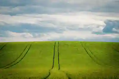 인천SSG랜더스필드 입장 전 체크해야 할 것