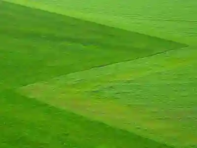 인천SSG랜더스필드 외야석 잔디밭 분위기