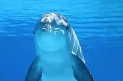 갤럭시 배터리 수명 늘리기 팁