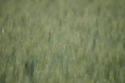 인천SSG랜더스필드 시즌권 정보 정리