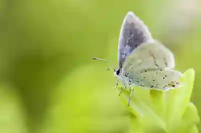갤럭시 사진 밝기 조절