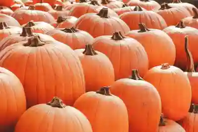 인천SSG랜더스필드 경기장 푸드 리뷰