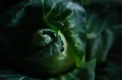 갤럭시 사진 자르기 방법