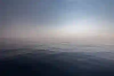 갤럭시 배경화면 다운로드 꿀팁