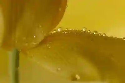 갤럭시 배경화면 사진 자르기 꿀팁